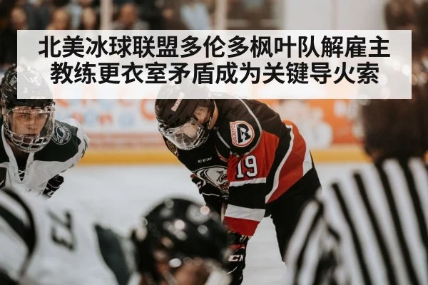 北美冰球联盟多伦多枫叶队解雇主教练更衣室矛盾成为关键导火索